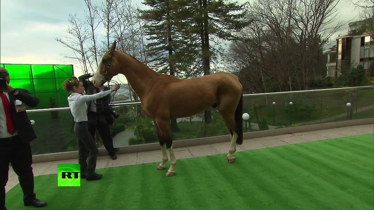 Un cadeau à quatre pattes : Poutine offre un cheval turkmène au roi du Bahreïn