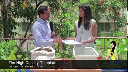 Organic Vegetable Seeds Online