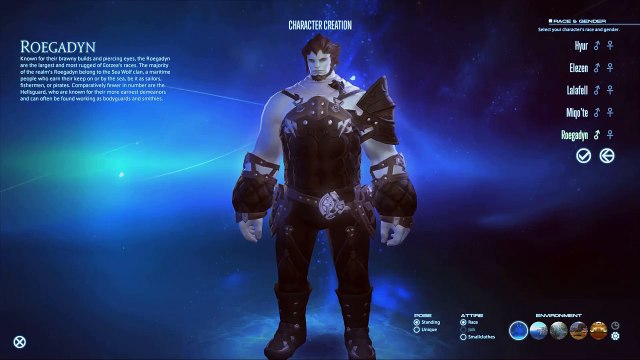 Final Fantasy 14: A Realm Reborn - Character Creation