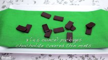 Cookie Recipes - How to Make Chocolate Mint Candies Cookies