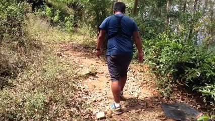 P&N - Ella Little Adam's Peak