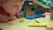 Praying Mantis Attacks Camera - Funny Animals