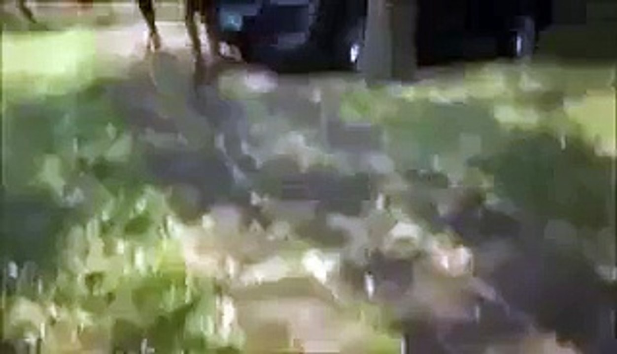 Biggest Crocodile Eats A Alive Girl