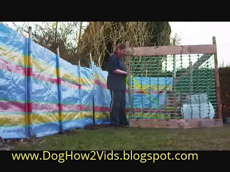 How to Teach an Adult Dog to Use Toilet |Dog How2 Vids|