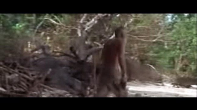 카지노하는법↖ WKW22。COM ＆토토스포츠베팅＊바카라주소