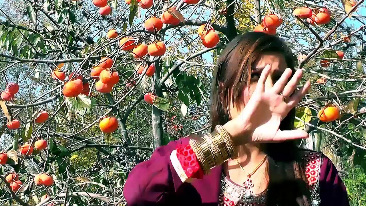 Zama Janan Da Ranga Toor Day Singer Dil Ruba Model Naseer & Dil Ruba Pashto New Songs 2016 HD