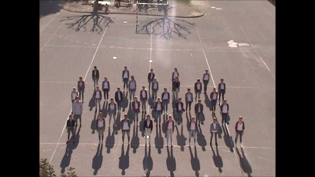 Flashmob concours UNSS- viala lacoste - salon de Provence