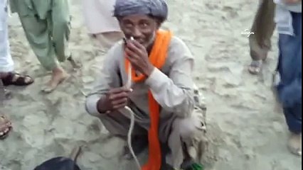 this is not normal man decides nose snake