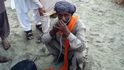 Yılanı burnundan sokup ağzından çıkardı