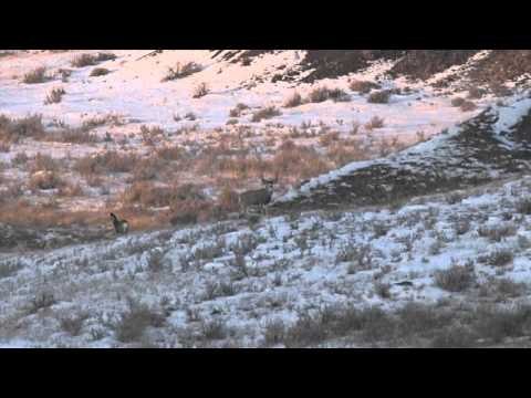 Silent Draw Outdoors - Silent Draw Outdoors