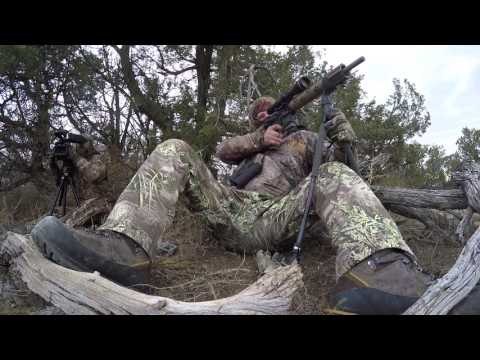 Predator Nation - Raising Predators