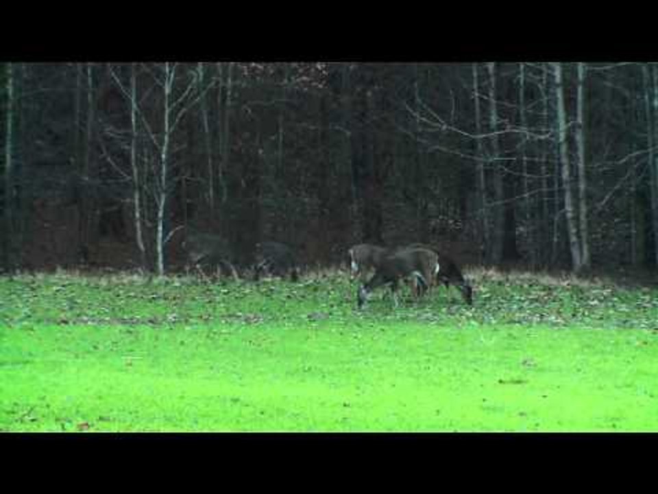 Primos  The Truth About Hunting - New Years Eve