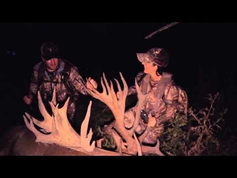 Winchesters Deadly Passion - No Pain No Gain New Zealand Red Stag