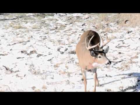 Outdoor Edge Love of the Hunt - Outdoor Edge Love of the Hunt