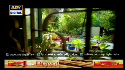 Watch Shehzada Saleem Episode – 09 – 8th February 2016 on ARY Digital