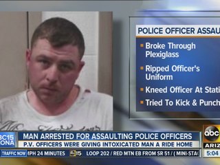 Police assaulted while giving man courtesy ride home