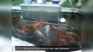 Прикольный аквариум ломает законы физики