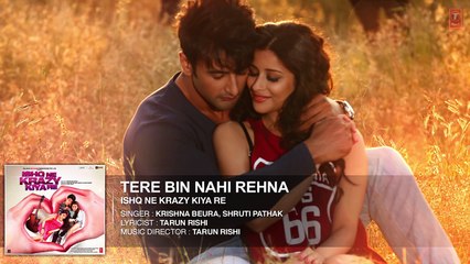 Tere Bin Nahi Rehna Full AUDIO Song _ Ishq Ne Krazy Kiya Re
