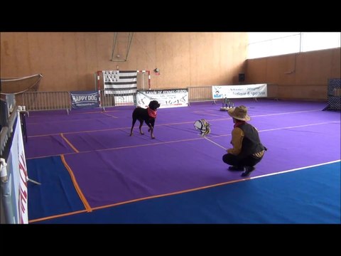 Obérythmée, concours Rennes -Cesson, 7 février 2016