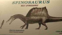 Museo de Berlín expone restos del saurio carnívoro Spinosaurus