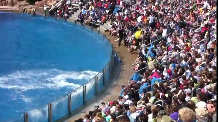 The Complete 2009  Dolphin Discovery  Show at SeaWorld - Copy