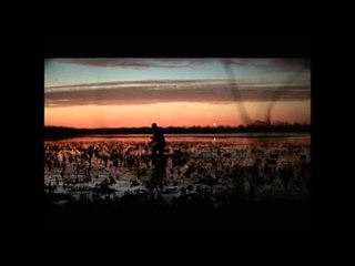 Raised Hunting - Pop