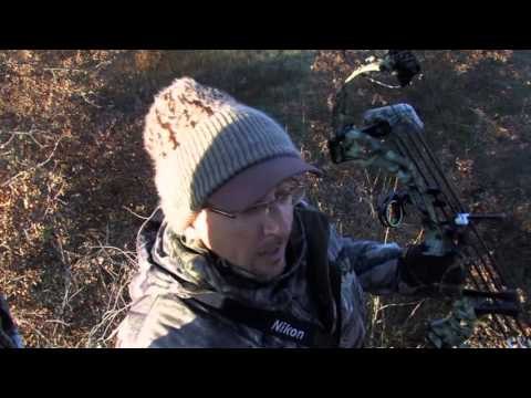 The Gamekeepers of Mossy Oak - MAD About Gamekeeping