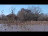 Primos  The Truth About Hunting - Cottonmouth Bucks and The Ducks Part 1