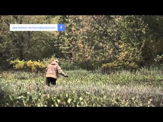 SportingDog Adventures - Young Guns