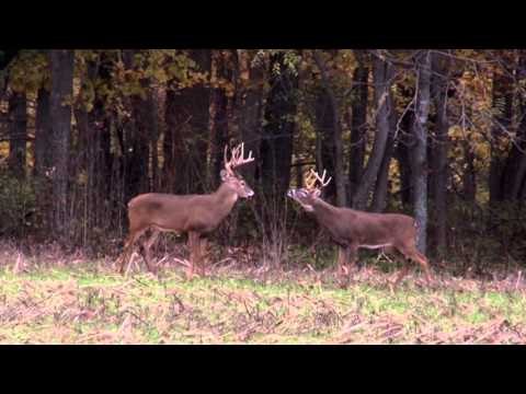 The Gamekeepers of Mossy Oak - A Jolly Good Property