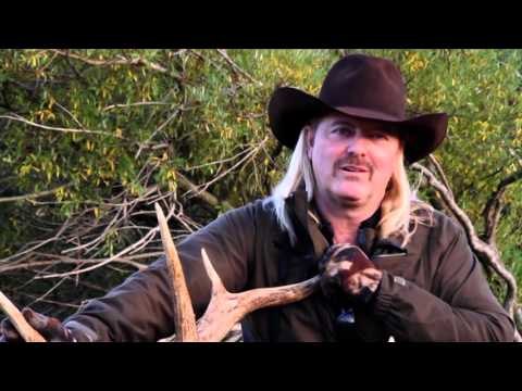 Where in the World is Colorado Buck - New Zealand Elk Stag