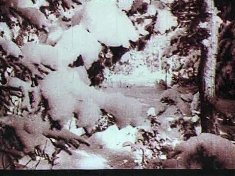 Великая Отечественная (1978). 4 серия из 20. Партизаны. Война в Тылу Врага