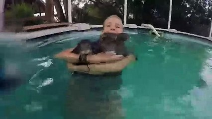 Купание с Выдрами в бассейне, милота