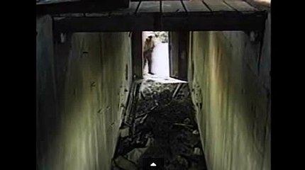 바카라고수ひ♪..TNT900、COM..▩ぶ바카라룰ょ바카라라이브