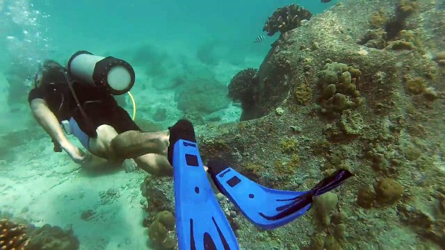 Plongée sous-marine Praslin Seychelles