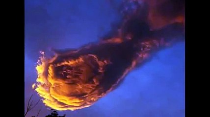 Main de Dieu Madeira