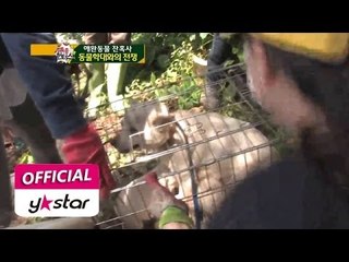 [특종 헌터스 Scoop Hunters] eps 127 "애완동물 잔혹사, 동물 학대와의 전쟁"