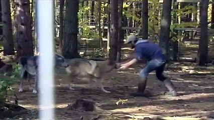 Отработка приемов борьбы на Волке