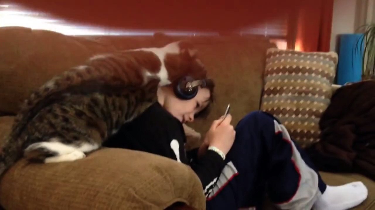 This Cat Really Loves His Boy