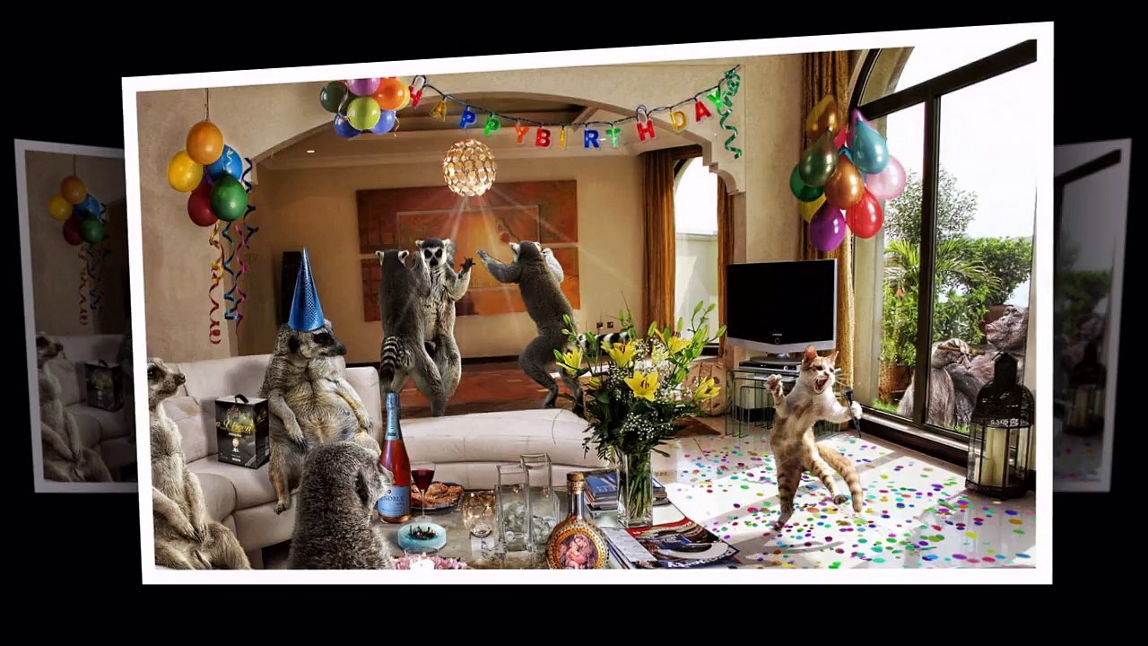 Keep Smiling - Top Funny Cat and Dog Dancing and Singing in the Word