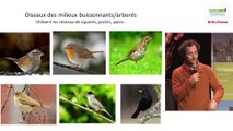 Caractérisation des oiseaux en ville, Maxime Zucca, Natureparif