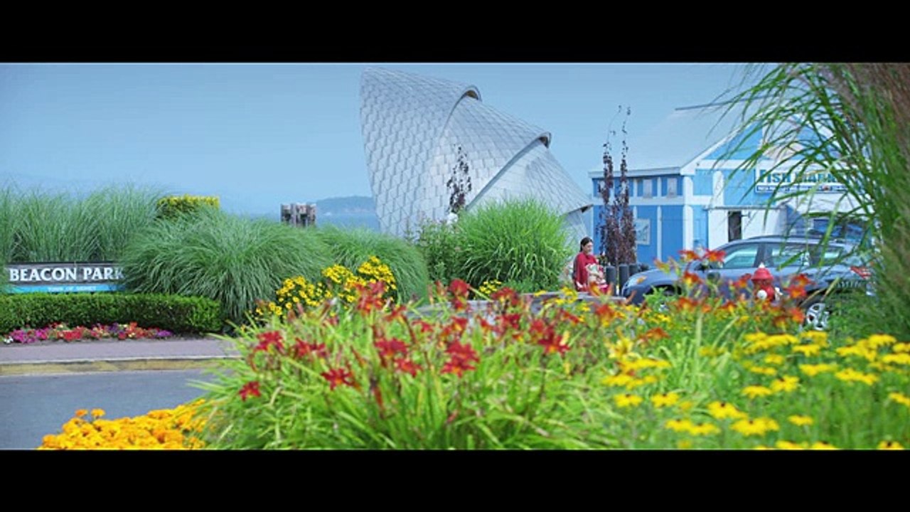 TERY BAGHAIR NEW SONG CHANNO KAMLI YAAR DI MOVIE FULL SONG