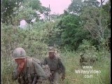 101st Airborne In The Vietnam War Search & Destroy