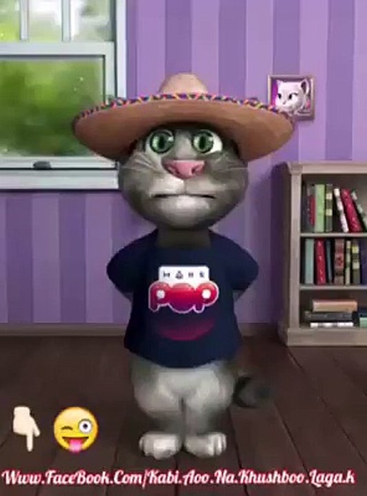 Funny Talking by Cat