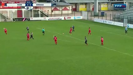 FIGHT!!! A crazy punch up the French women's match between Rouen  Bordeaux