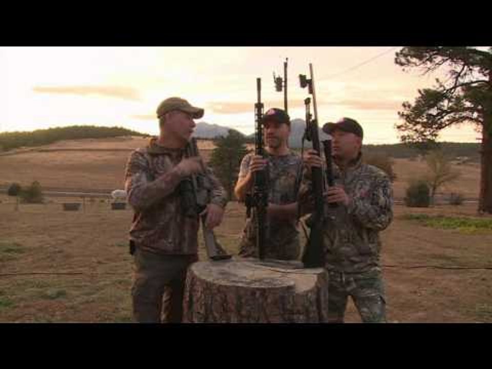 Predator Nation - Running Coyotes