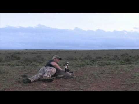 The Hunting Chronicles - Sun Africa Safaris Part 2