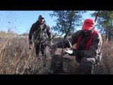 World of Sports Afield - Tunnel Vision and Whitetail in Colorado