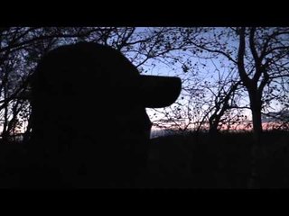 Dean Partridges Canadian Whitetail - Legands Fall Pt 1