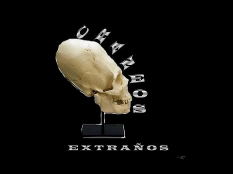 Enigmas Notables 25 Craneos extraños